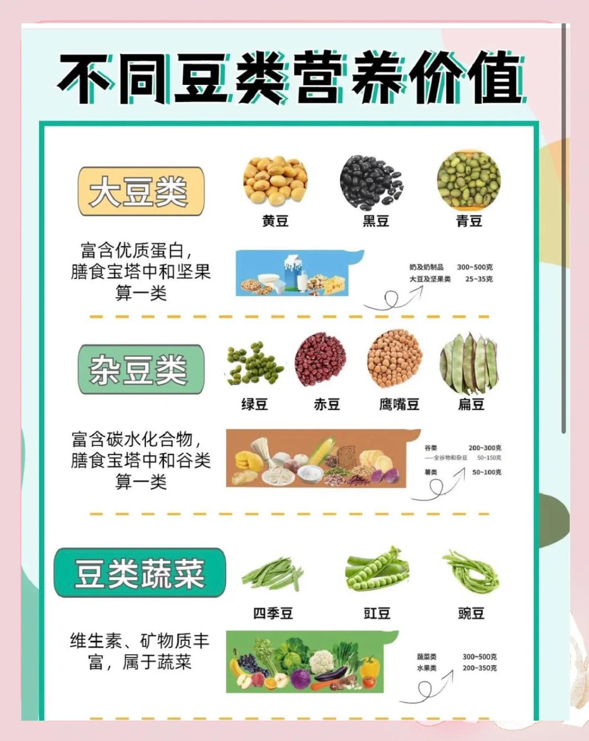 豆類營養對比 哪種更適合你？