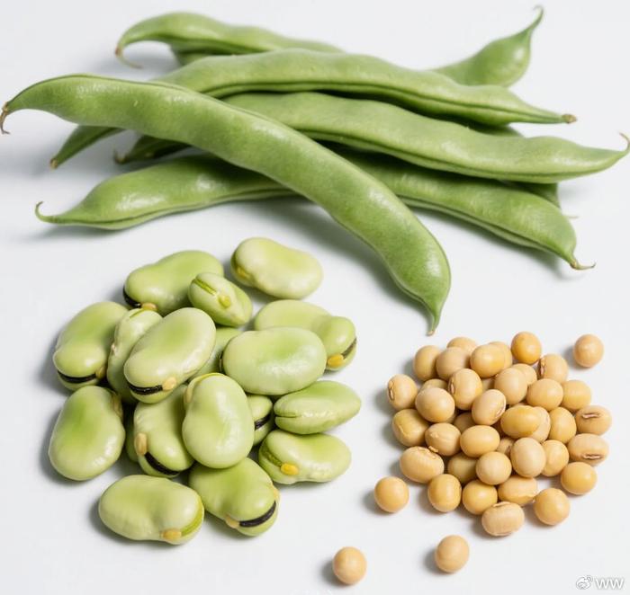 立夏前多吃這3種豆類，補蛋白強免疫，孩子老人都需要