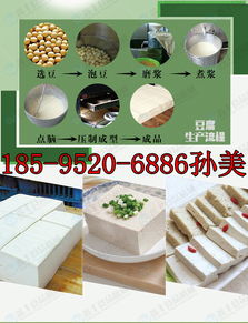 錦州豆腐機器 專業設備賦能豆制品產業升級